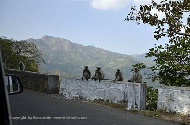 02 PKW-Reise_Jodhpur-Mount_Abu_DSC4024_b_H600